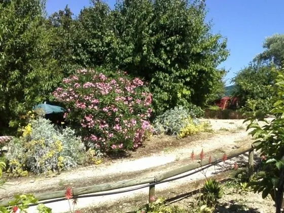 Oda, 1 Yatak Odası, Mikrodalga