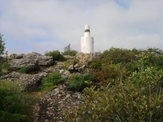 Oda, 1 Yatak Odası, Mikrodalga