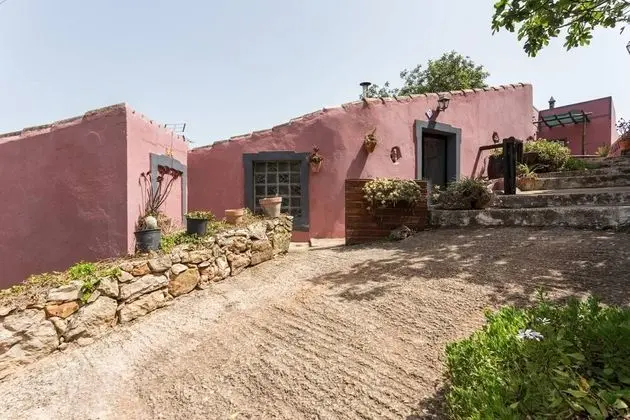 Oda, 1 Yatak Odası, Mikrodalga