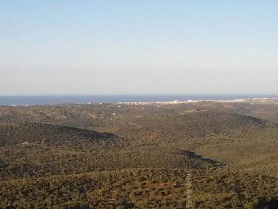 Oda, 1 Yatak Odası, Mikrodalga