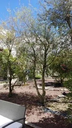 Tek Büyük veya İki Ayrı Yataklı Oda, Veranda, Zemin Kat