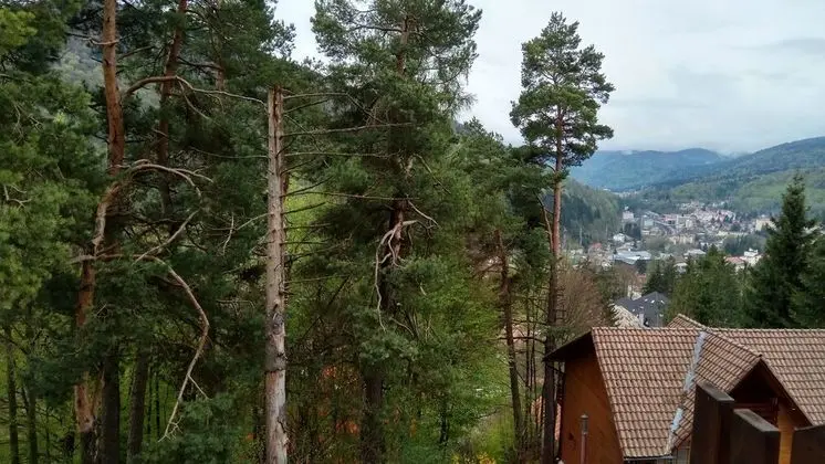 Tek Büyük Yataklı Oda, Dağ Manzaralı
