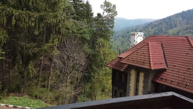 Tek Büyük Yataklı Oda, Dağ Manzaralı