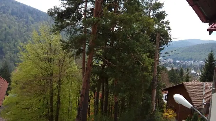 Tek Büyük Yataklı Oda, Dağ Manzaralı