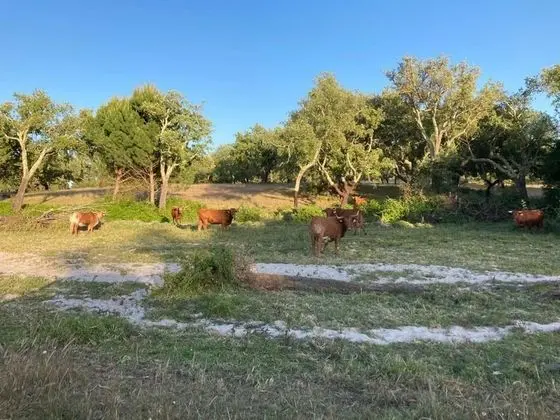 Ev, Birden Çok Yatak