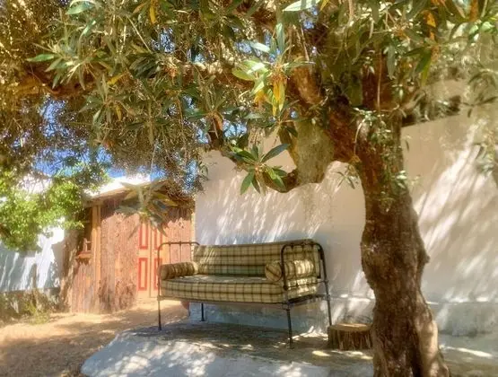 Ev, Birden Çok Yatak