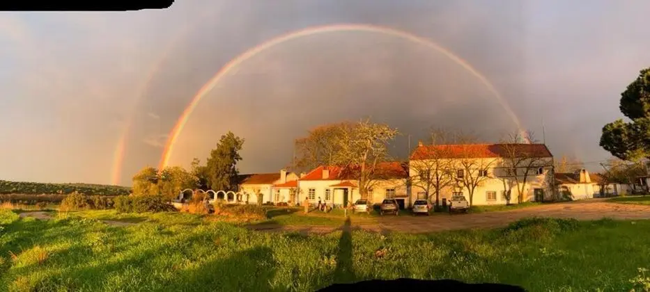 Ev, Birden Çok Yatak