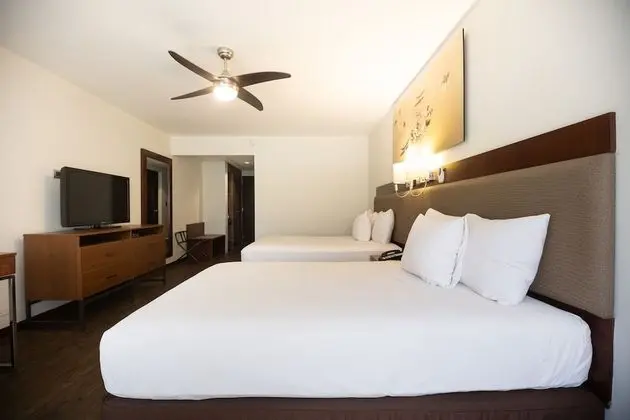 Superior İki Ayrı Yataklı Oda, Havuz Manzaralı