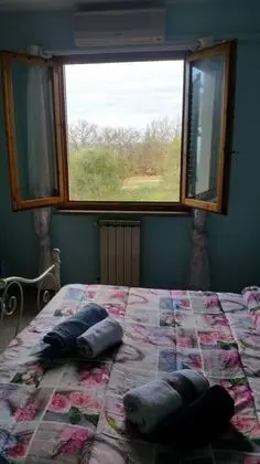 Apart Daire, Birden Çok Yatak