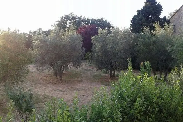 Apart Daire, Birden Çok Yatak