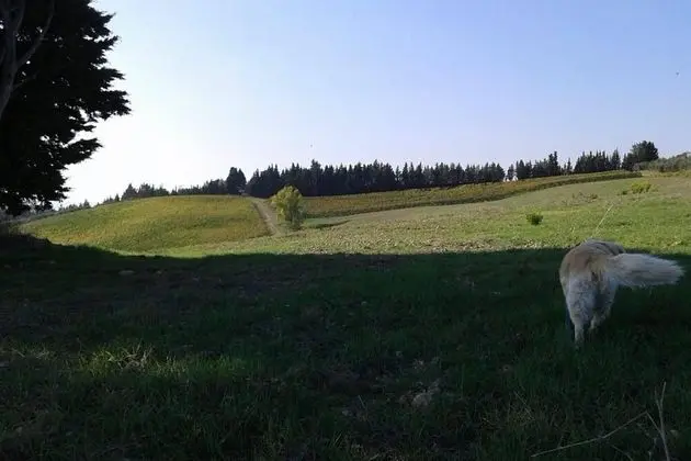 Apart Daire, Birden Çok Yatak