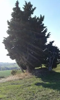 Apart Daire, Birden Çok Yatak