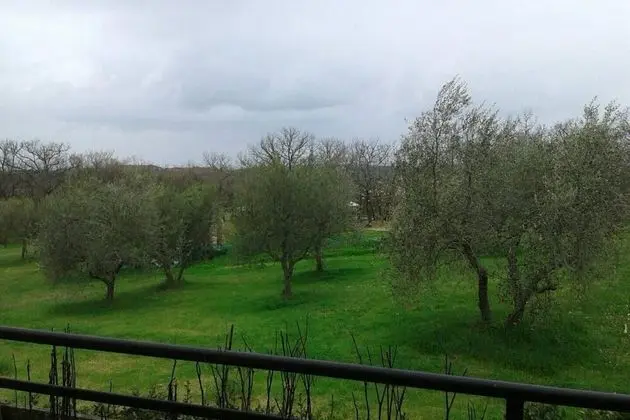 Apart Daire, Birden Çok Yatak