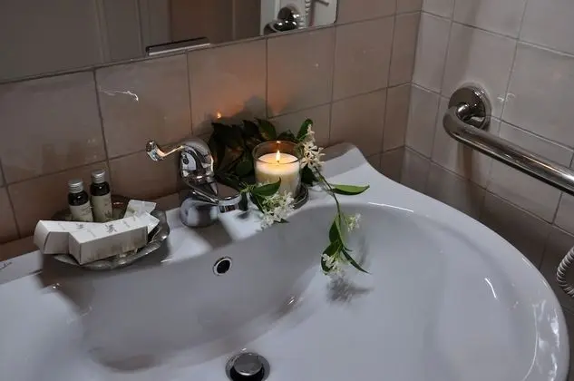 Superior Tek Büyük veya İki Ayrı Yataklı Oda, Banyolu/Duşlu