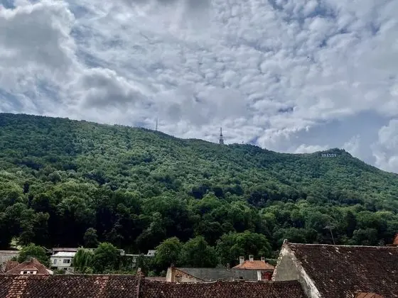 Dört Kişilik Oda