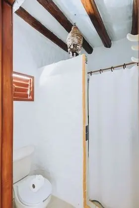 Superior Oda, 1 En Büyük (King) Boy Yatak, Bahçe Manzaralı