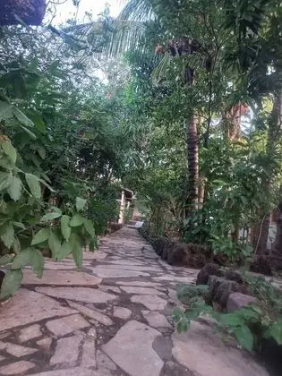 Standard Oda, Banyolu/Duşlu, Bahçe Manzaralı