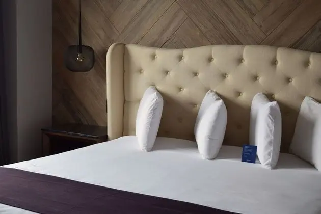 Deluxe Süit, 1 Yatak Odası, Engellilere Uygun