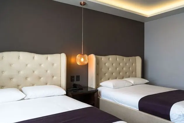 Deluxe Tek Büyük Yataklı Oda, 2 Büyük (Queen) Boy Yatak