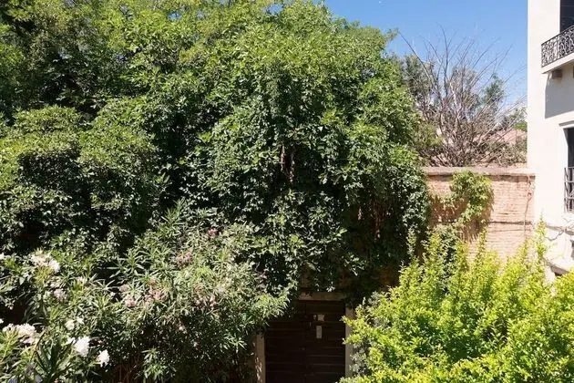 Superior Tek Büyük veya İki Ayrı Yataklı Oda