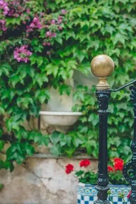 Ev, 5 Yatak Odası, Teras