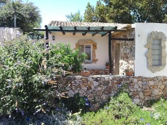 Oda, 1 Yatak Odası, Mikrodalga