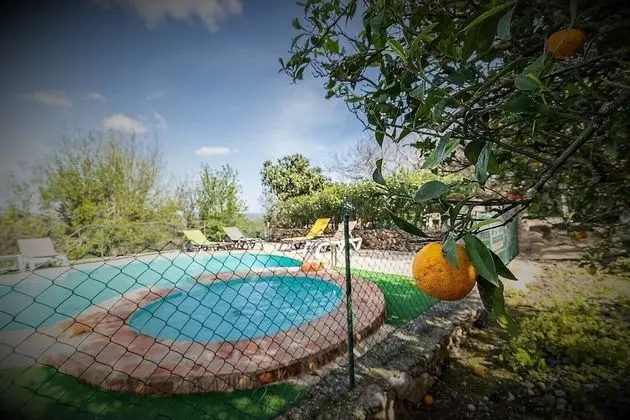 Oda, 1 Yatak Odası, Mikrodalga