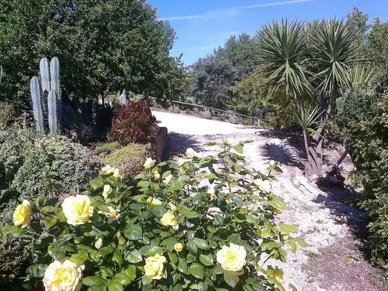 Oda, 1 Yatak Odası, Mikrodalga