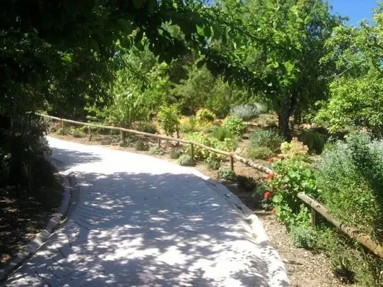 Oda, 1 Yatak Odası, Mikrodalga