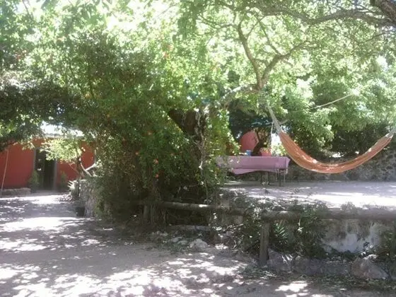 Oda, 1 Yatak Odası, Mikrodalga