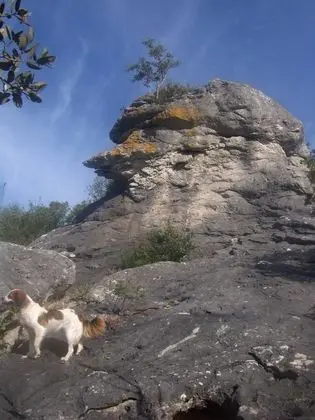 Oda, 1 Yatak Odası, Mikrodalga