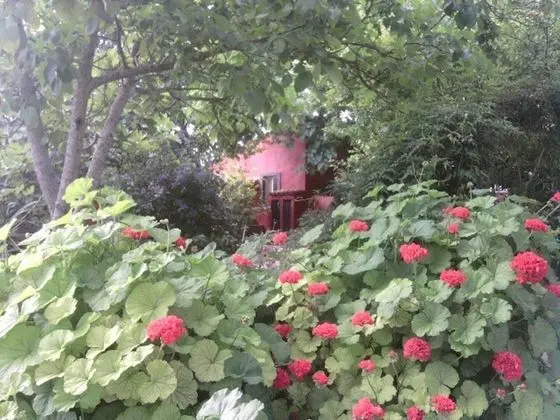 Oda, 1 Yatak Odası, Mikrodalga