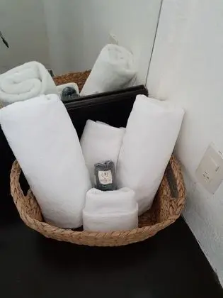 Süit