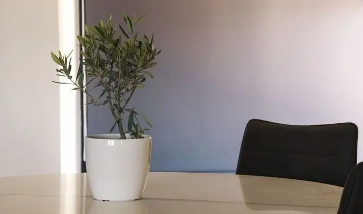 Junior Süit (No view)