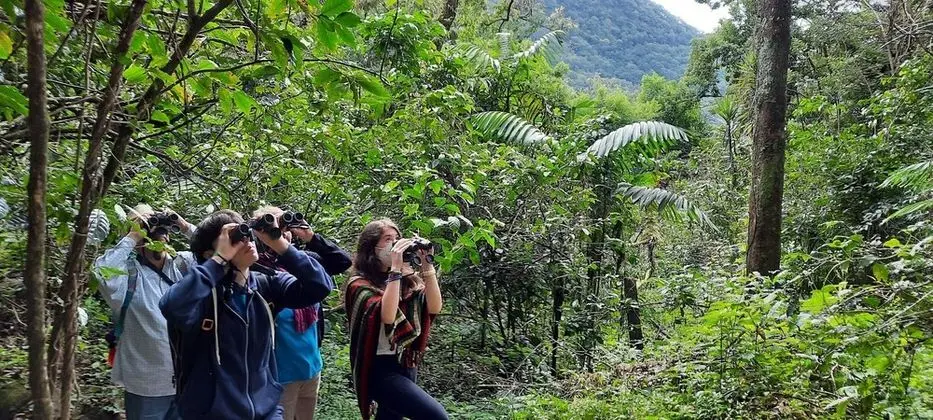 Ev, 2 Yatak Odası, Şömine