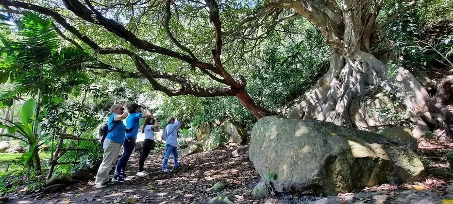 Ev, 2 Yatak Odası, Şömine