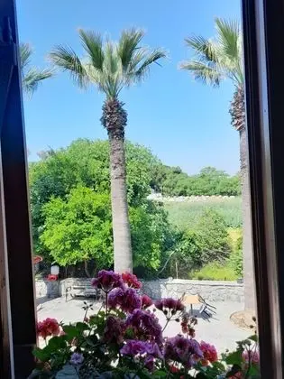 Deluxe Üç Kişilik Oda, Sigara İçilmez, Dağ Manzaralı