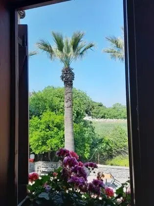 Deluxe Üç Kişilik Oda, Sigara İçilmez, Dağ Manzaralı