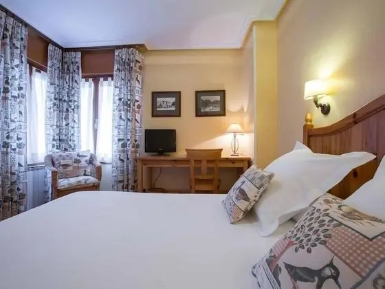 Standard Tek Büyük veya İki Ayrı Yataklı Oda, Banyolu/Duşlu