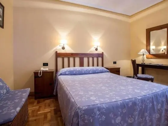 Standard Tek Büyük veya İki Ayrı Yataklı Oda, Banyolu/Duşlu