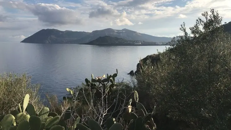 Apart Daire, 1 Yatak Odası, Balkon