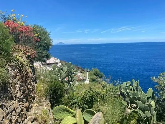 Apart Daire, 1 Yatak Odası, Balkon