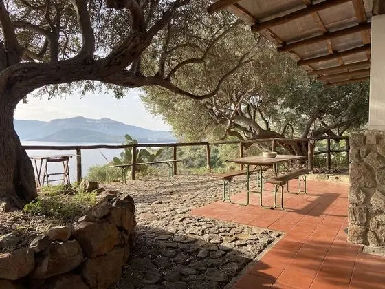 Apart Daire, 1 Yatak Odası, Balkon