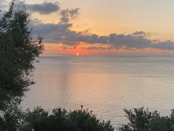 Apart Daire, 1 Yatak Odası, Balkon
