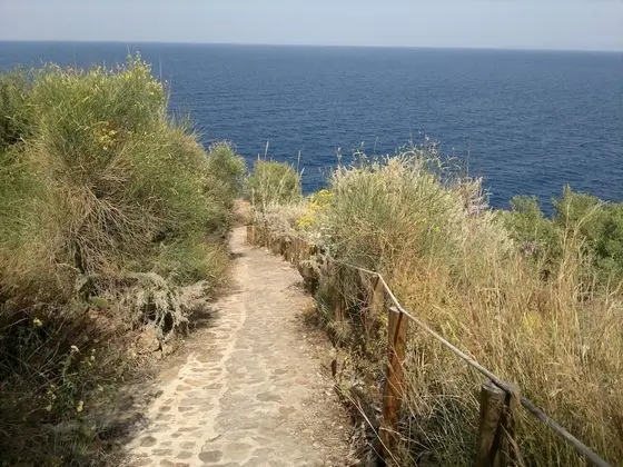 Apart Daire, 1 Yatak Odası, Balkon