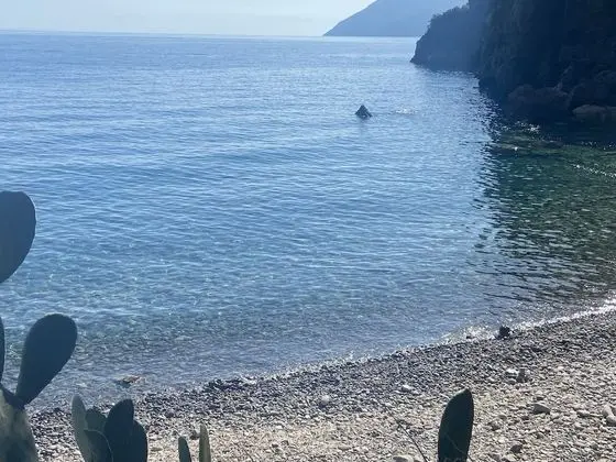 Apart Daire, 1 Yatak Odası, Balkon