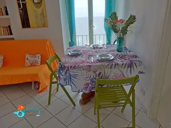 Apart Daire, 1 Yatak Odası, Teras