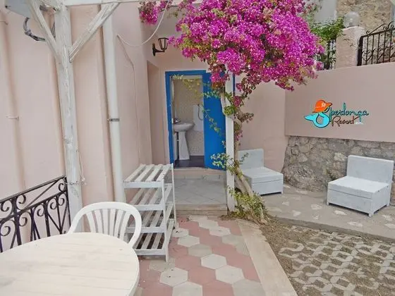 Apart Daire, 1 Yatak Odası, Teras