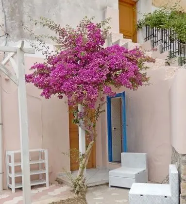 Apart Daire, 1 Yatak Odası, Teras