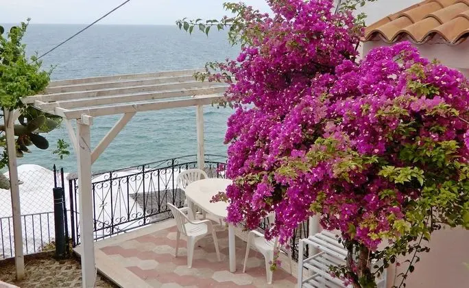 Apart Daire, 1 Yatak Odası, Teras